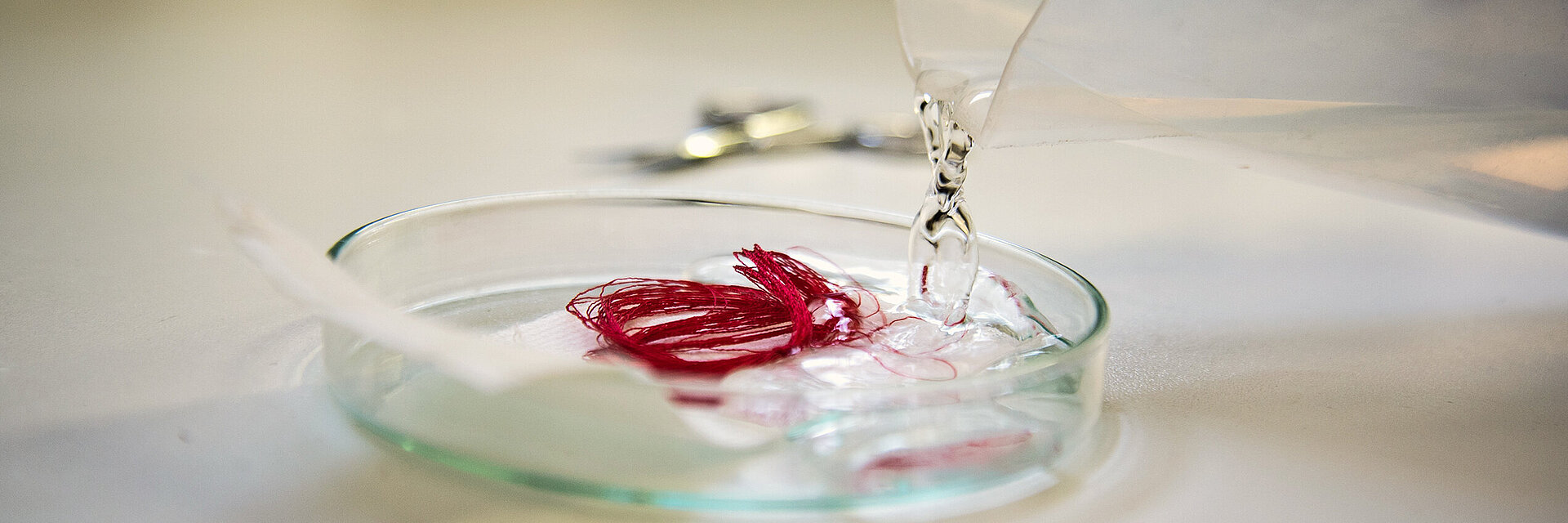 [Translate to Global Spanisch:] embroidery thread quality test with red thread in a lab dish