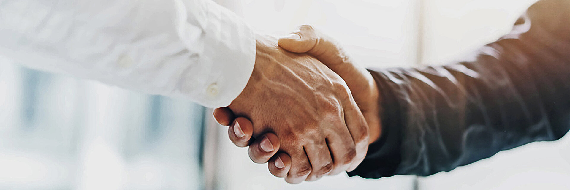 [Translate to Global Spanisch:] two hands in handshake