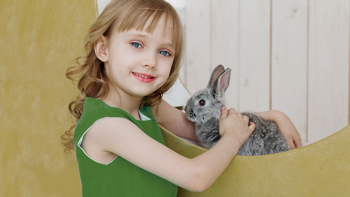 Child touching softly a rabbit Child touching softly a rabbit