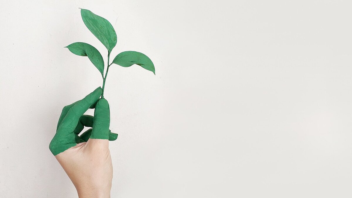 Hand with green painted fingers holding a small green plant